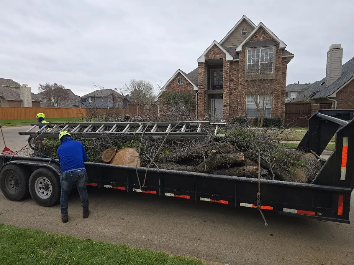 Expert Tree Fertilization with proper safety equipment in Ferron